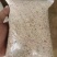【甄选芝麻】白芝麻/黑芝麻/色选芝麻/芝麻酱/品质保障