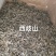 云南墨江北回归线西歧山原生态桫椤林普洱茶，自由基地