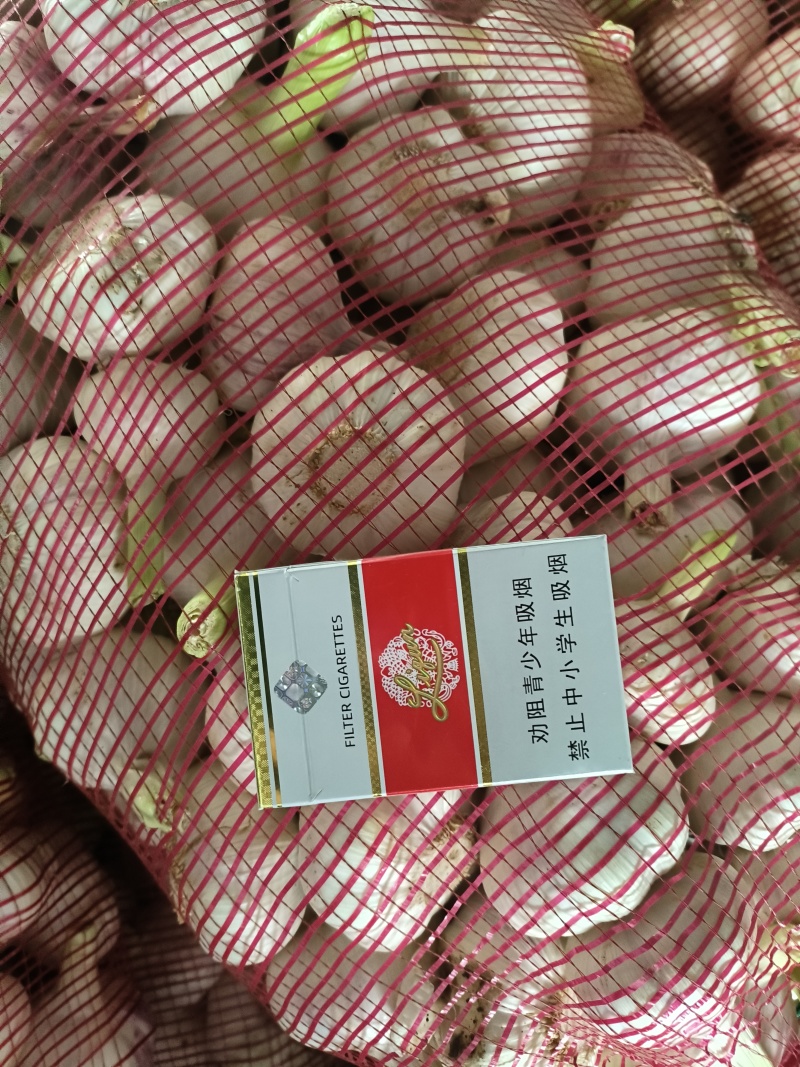 大蒜扒皮大蒜紫皮大蒜蒜头货源充足价格优惠交通便利