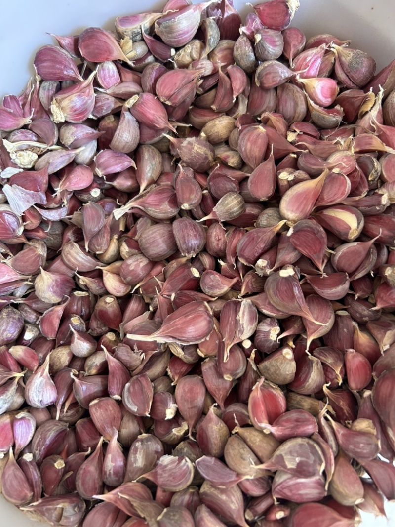 云南大理老品种紫皮蒜红蒜香蒜蒜瓣