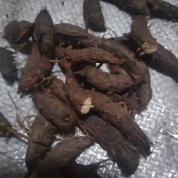 野生香附子干净无渣品质上乘支持视频看货欢迎来电