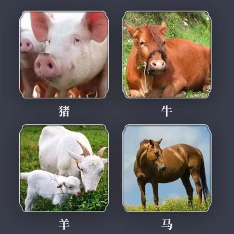益母草粉猪牛羊鸡狗等家禽畜牧专用