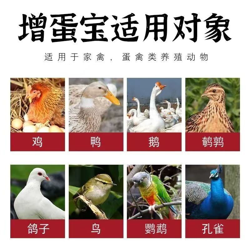 益母草粉猪牛羊鸡狗等家禽畜牧专用