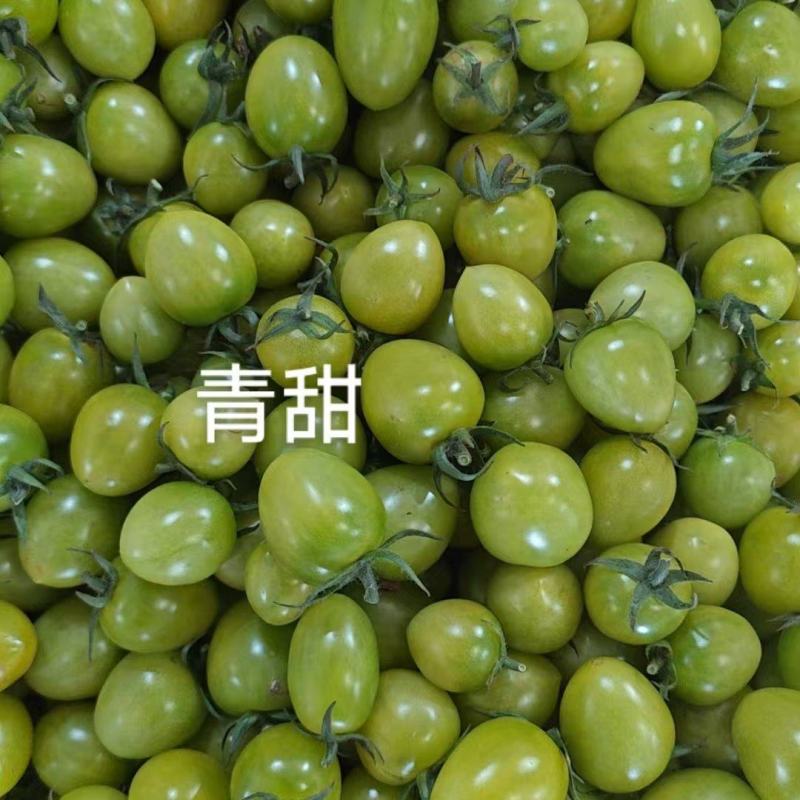 青甜圣女果