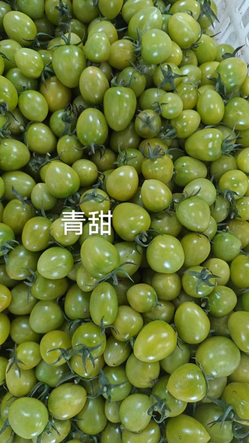 青甜圣女果