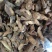 蒲公英根，无糖，品质好，原产地发货，大量供货
