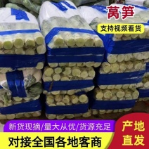 莴笋大量上市需要的老板联系面向全国接单需要的老板联系