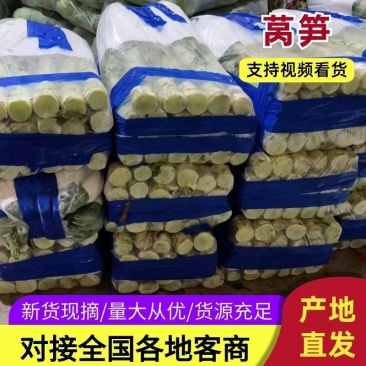 莴笋大量上市需要的老板联系面向全国接单需要的老板联系