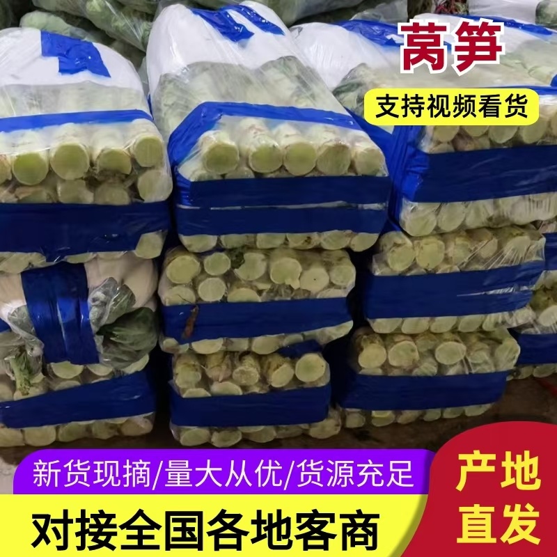 莴笋大量上市需要的老板联系面向全国接单需要的老板联系