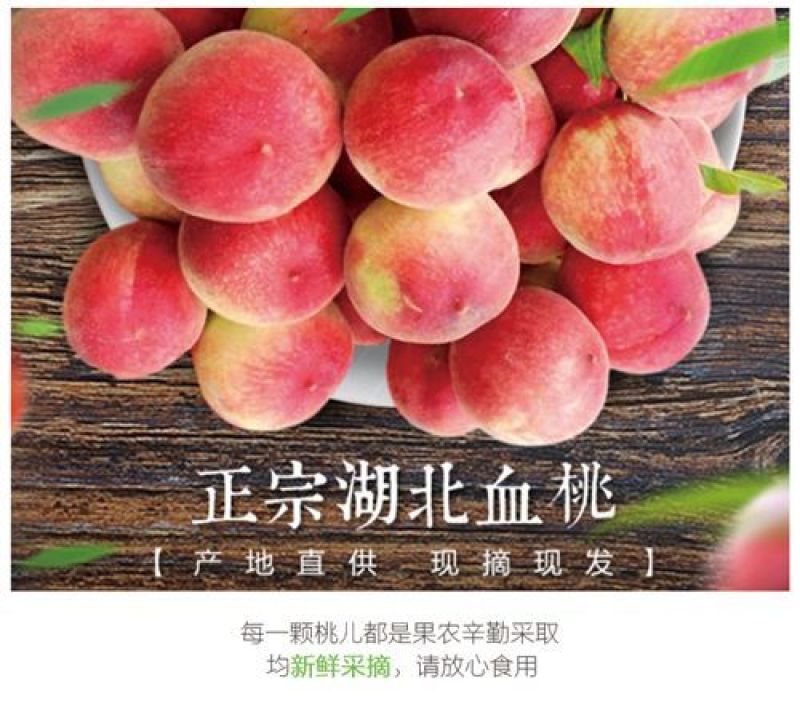 湖北正宗老树血桃，脆甜离核，中华胭脂红血桃支持一件代发