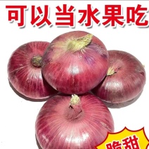 红皮洋葱