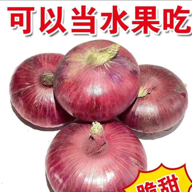红皮洋葱