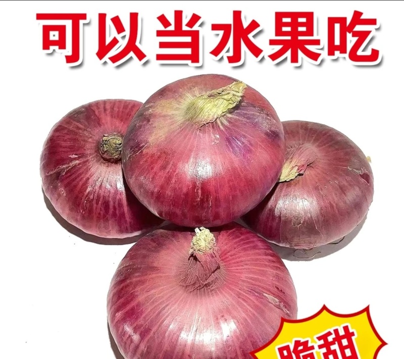 红皮洋葱