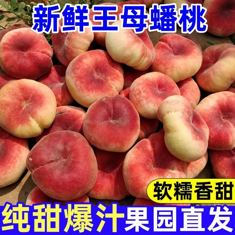 【稀有蟠桃】陕西毛蟠桃新鲜现摘应季水果孕妇王母蟠桃爆甜水蜜桃