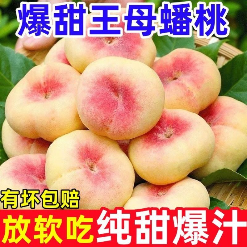 【稀有蟠桃】陕西毛蟠桃新鲜现摘应季水果孕妇王母蟠桃爆甜水蜜桃