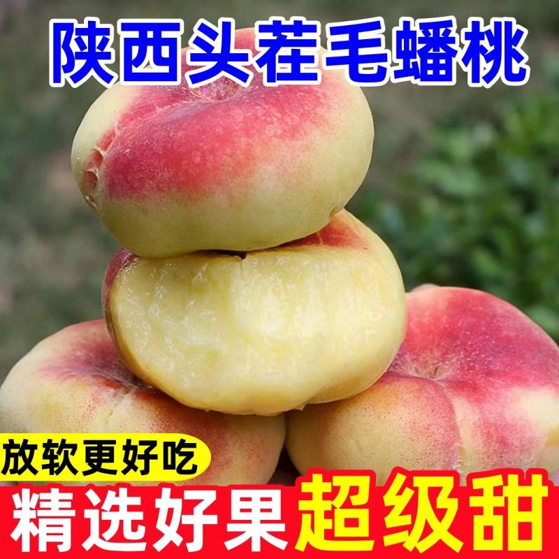 【稀有蟠桃】陕西毛蟠桃新鲜现摘应季水果孕妇王母蟠桃爆甜水蜜桃