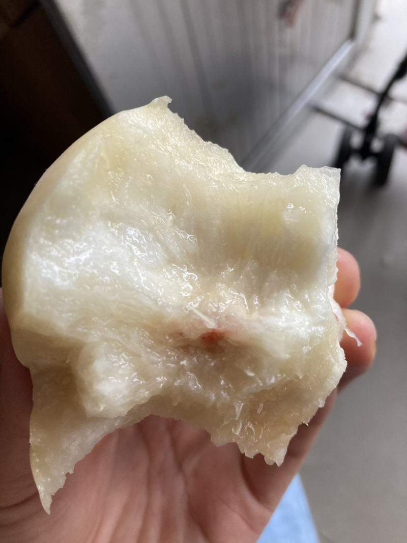 北京8号红毛桃，白桃新鲜上市，支持团购，商超，各类平台