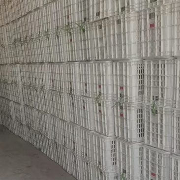 几乎全新二手塑料筐