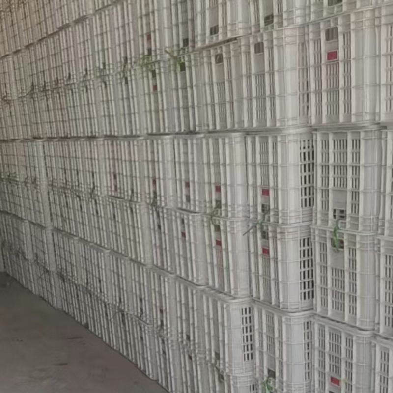 几乎全新二手塑料筐