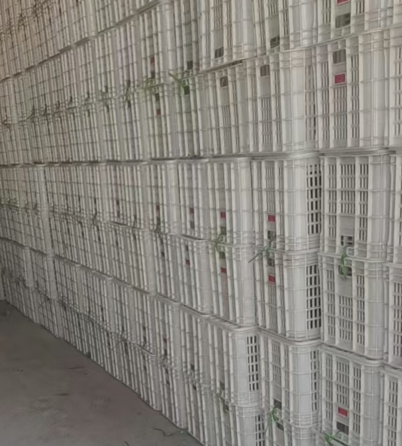 几乎全新二手塑料筐