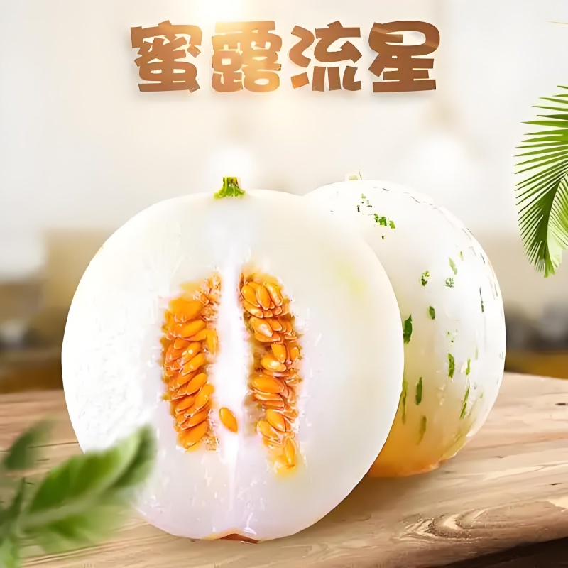 【精品】高糖度蜜露流星甜瓜梦露月露一件代发对接电商