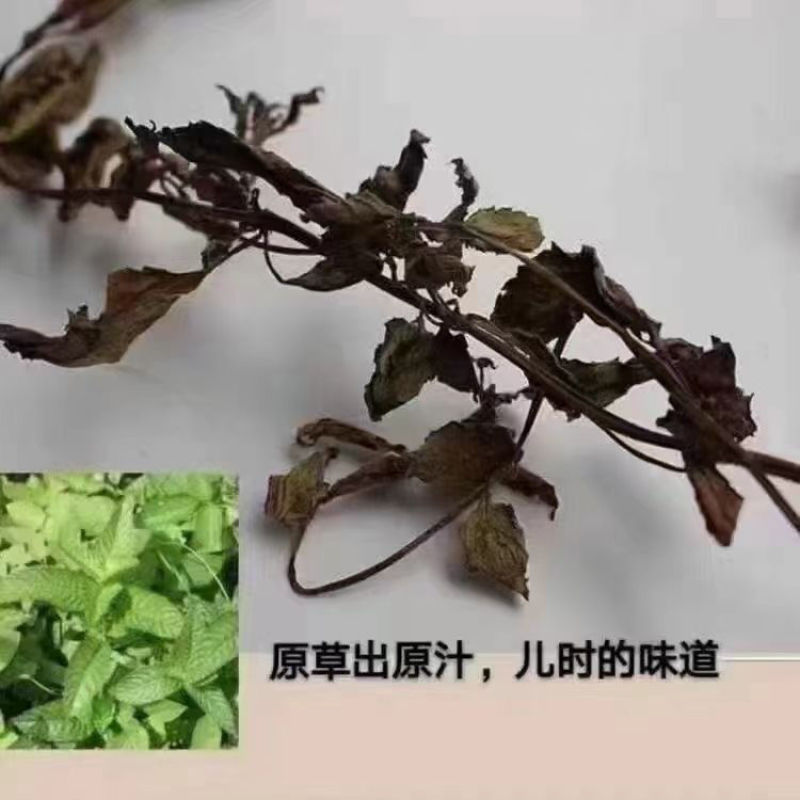 正宗潮汕特产草粿粉草果粉黑凉粉烧仙草粉材料仙草蜜粉