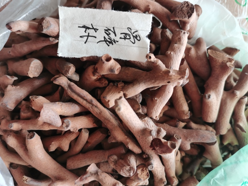骨碎补130克含快递费15元