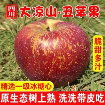 正宗大凉山冰糖心丑苹果应季红富士新鲜苹果水果批发一整箱批发