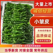 【推荐】小皱皮现货供应需要的老板联系面向全国接单