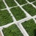 【推荐】小皱皮现货供应需要的老板联系面向全国接单
