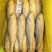 waaa200-300冰鲜带鱼质量很好