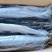 waaa200-300冰鲜带鱼质量很好