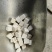 中药材云南茯苓白茯苓中心丁货源充足保证质量