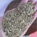 冬牧70黑麦草种子高产牧草籽冬季耐寒四季养殖牛羊猪兔