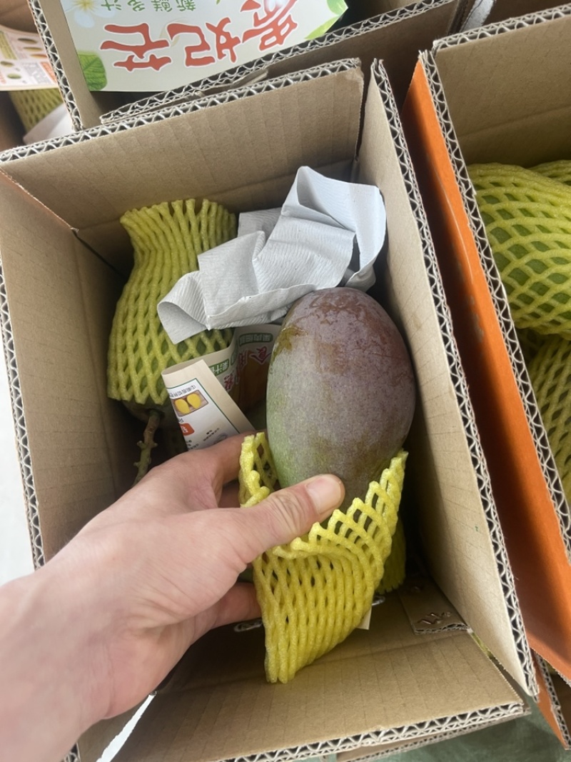 芒果贵妃.金黄.大青芒.台农大量上市对接各大平台一件代发