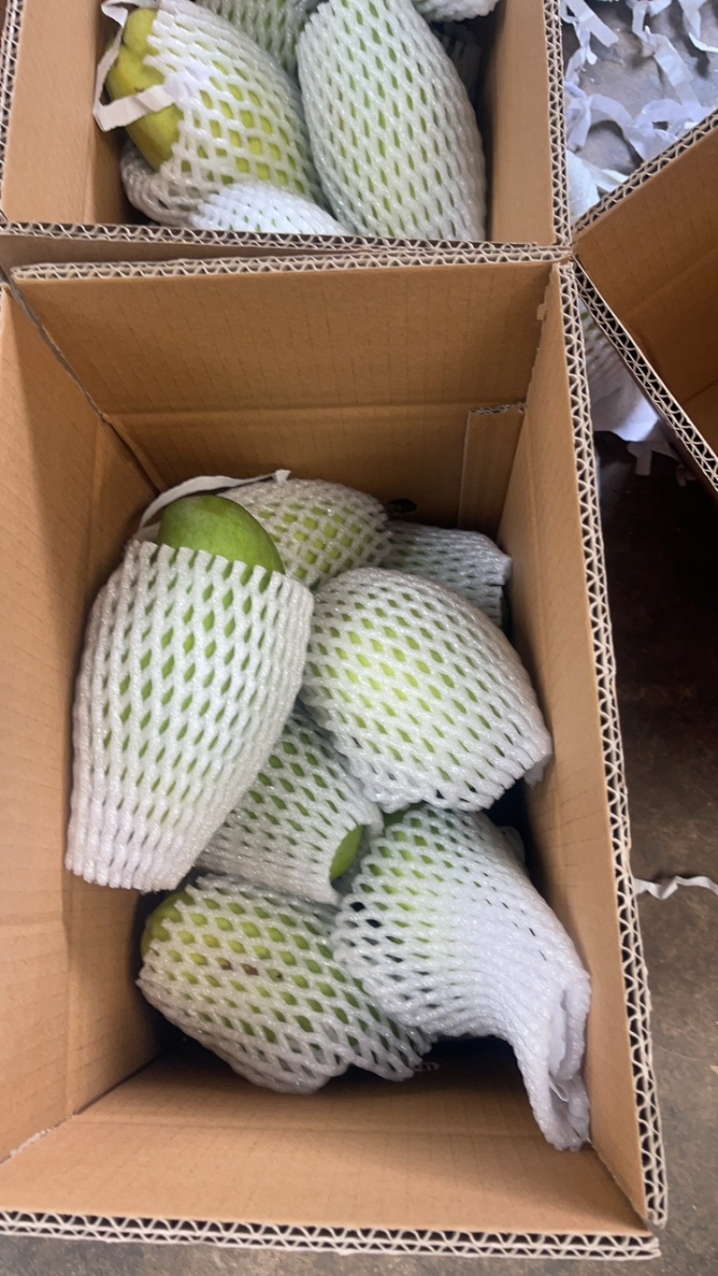芒果贵妃.金黄.大青芒.台农大量上市对接各大平台一件代发