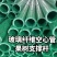 玻璃纤维空心管产地直直发，诚信经营，品质保证服务周到