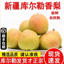 【新疆直发】正宗新疆库尔勒香梨特级全母梨子薄皮新鲜当季水果