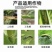 巧喜11.6%甲维氯虫苯甘蓝小菜蛾玉米螟二化螟菜青虫杀虫