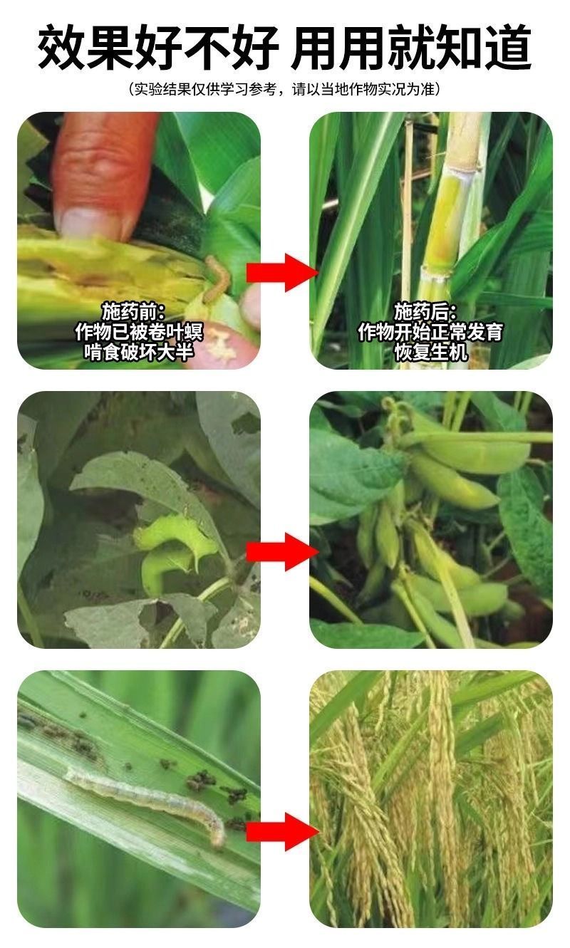 巧喜11.6%甲维氯虫苯甘蓝小菜蛾玉米螟二化螟菜青虫杀虫