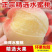 【果园现摘】正宗水蜜桃新鲜桃子当季水果孕妇水蜜桃脆桃整箱批发