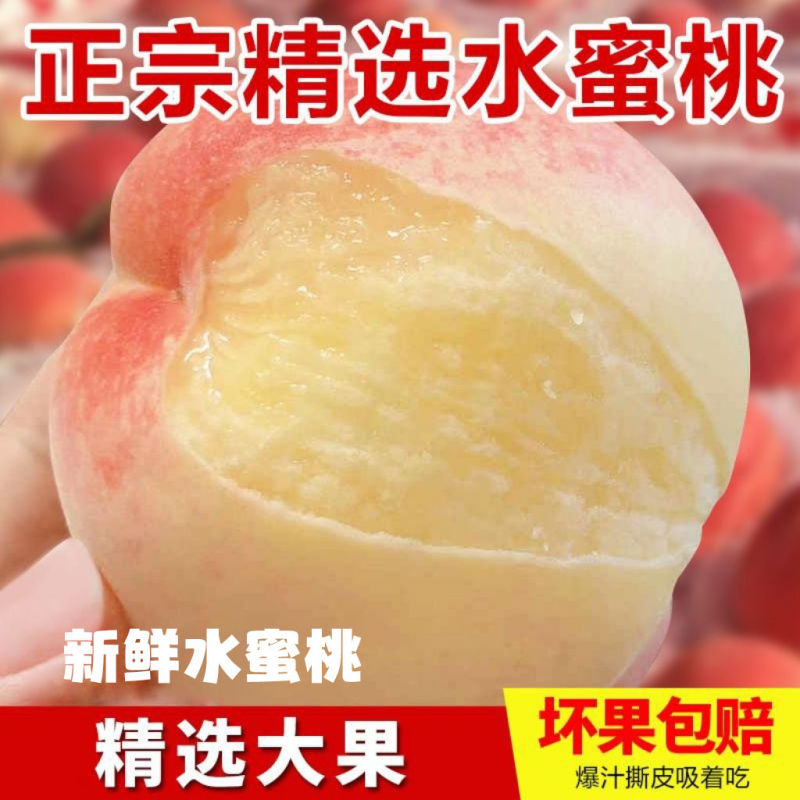 【果园现摘】正宗水蜜桃新鲜桃子当季水果孕妇水蜜桃脆桃整箱批发