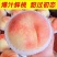 【果园现摘】正宗水蜜桃新鲜桃子当季水果孕妇水蜜桃脆桃整箱批发