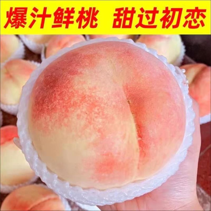 【果园现摘】正宗水蜜桃新鲜桃子当季水果孕妇水蜜桃脆桃整箱批发