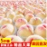 【果园现摘】正宗水蜜桃新鲜桃子当季水果孕妇水蜜桃脆桃整箱批发