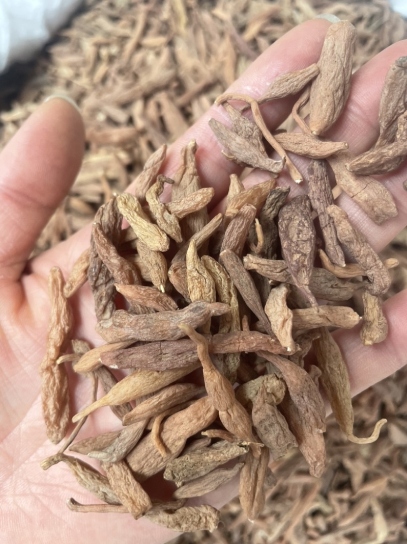 金麦冬大货批发