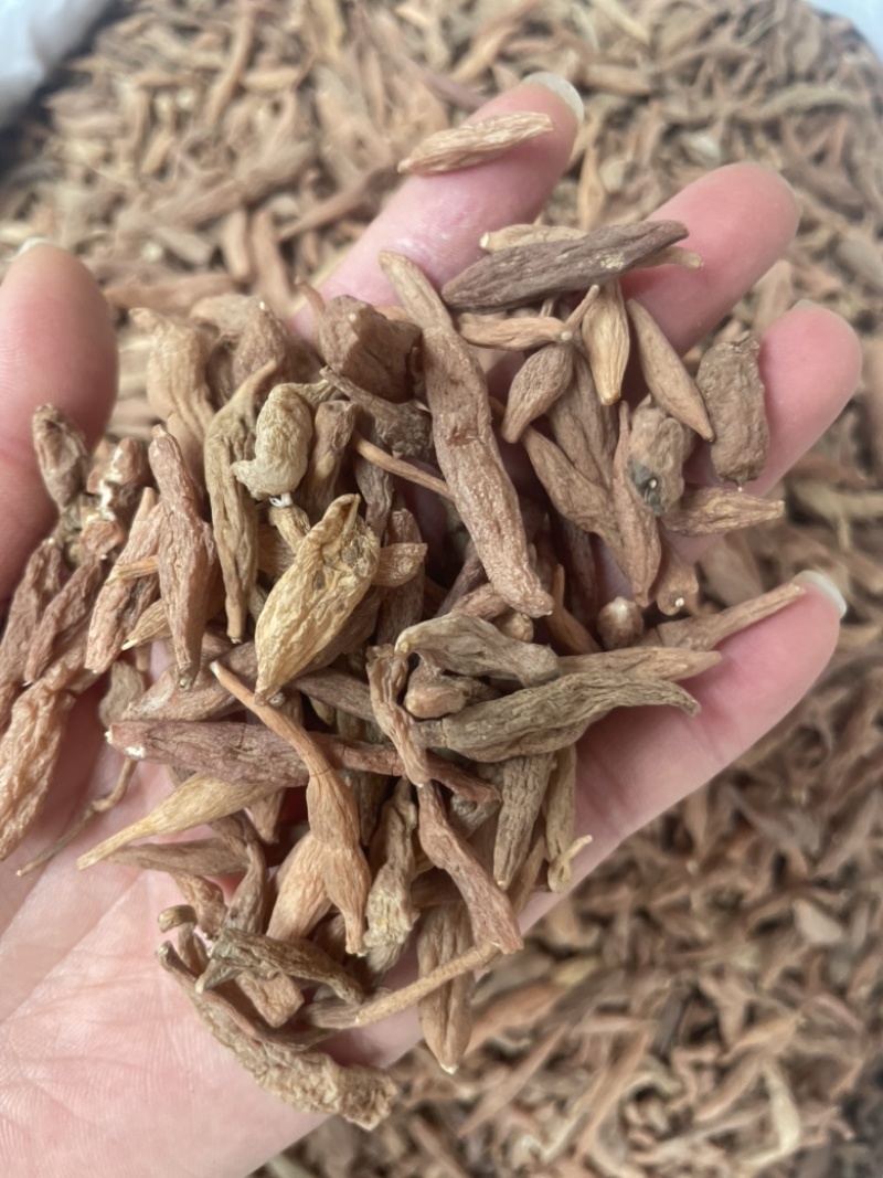 金麦冬大货批发