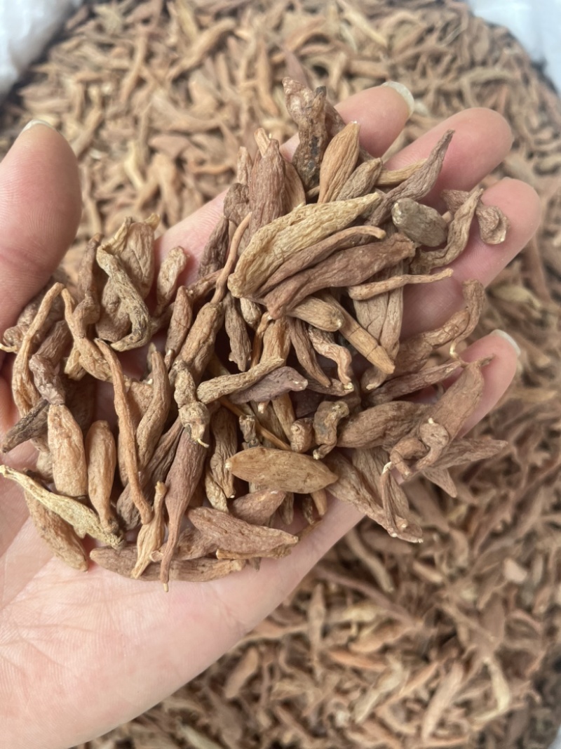 金麦冬大货批发