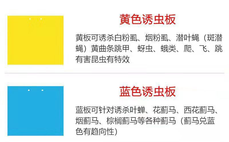 双面粘虫黄板诱虫板果园果蝇针蜂蓝板蓟马飞虫双面大棚粘