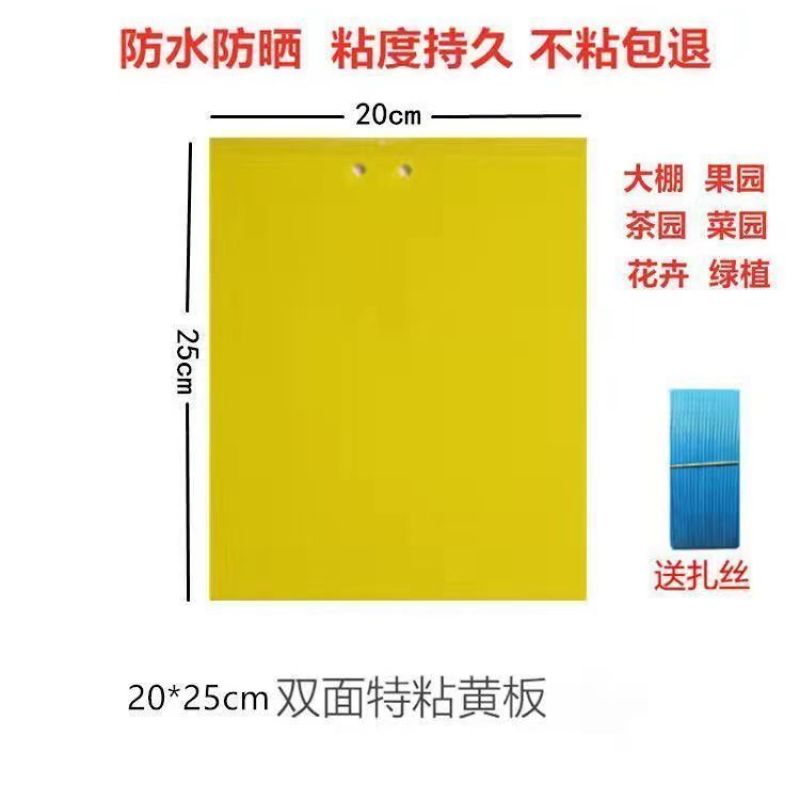 双面粘虫黄板诱虫板果园果蝇针蜂蓝板蓟马飞虫双面大棚粘